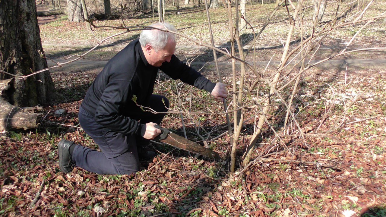 photo 2025 03 21 15 37 54